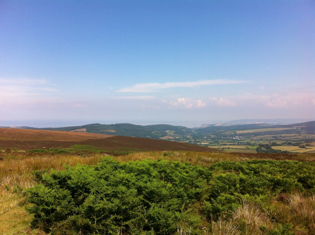 Exmoor Joyriders Guiding
