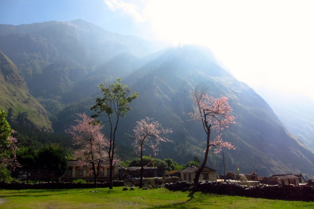 cropped-Joyriders-Nepal33.jpg